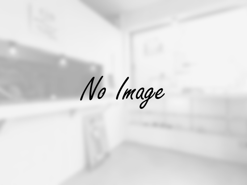 no-img